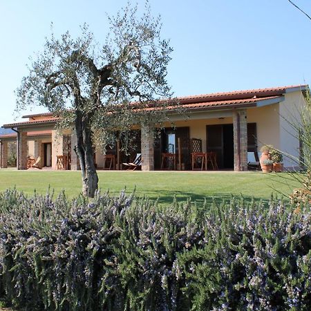 Agriturismo Il Vecchio Mandorlo Кастильоне-делла-Пеская Экстерьер фото