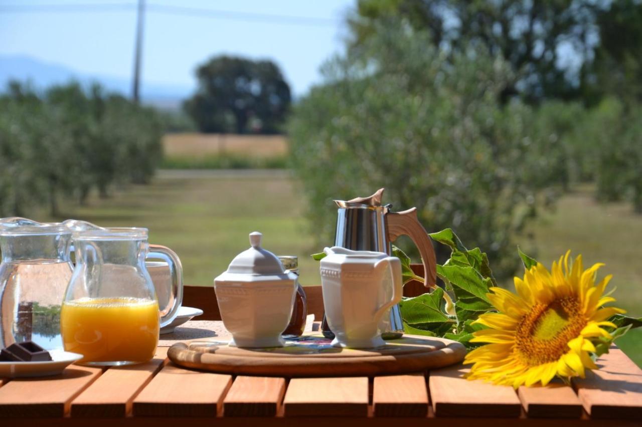 Agriturismo Il Vecchio Mandorlo Кастильоне-делла-Пеская Экстерьер фото